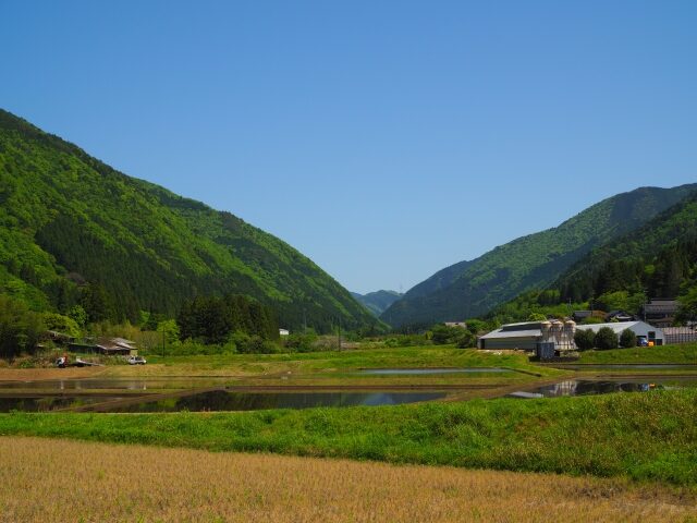 国内教育移住のデメリット